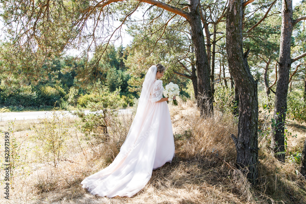 Fototapeta premium Beautiful bride ion wedding dress outdoors in a forest.