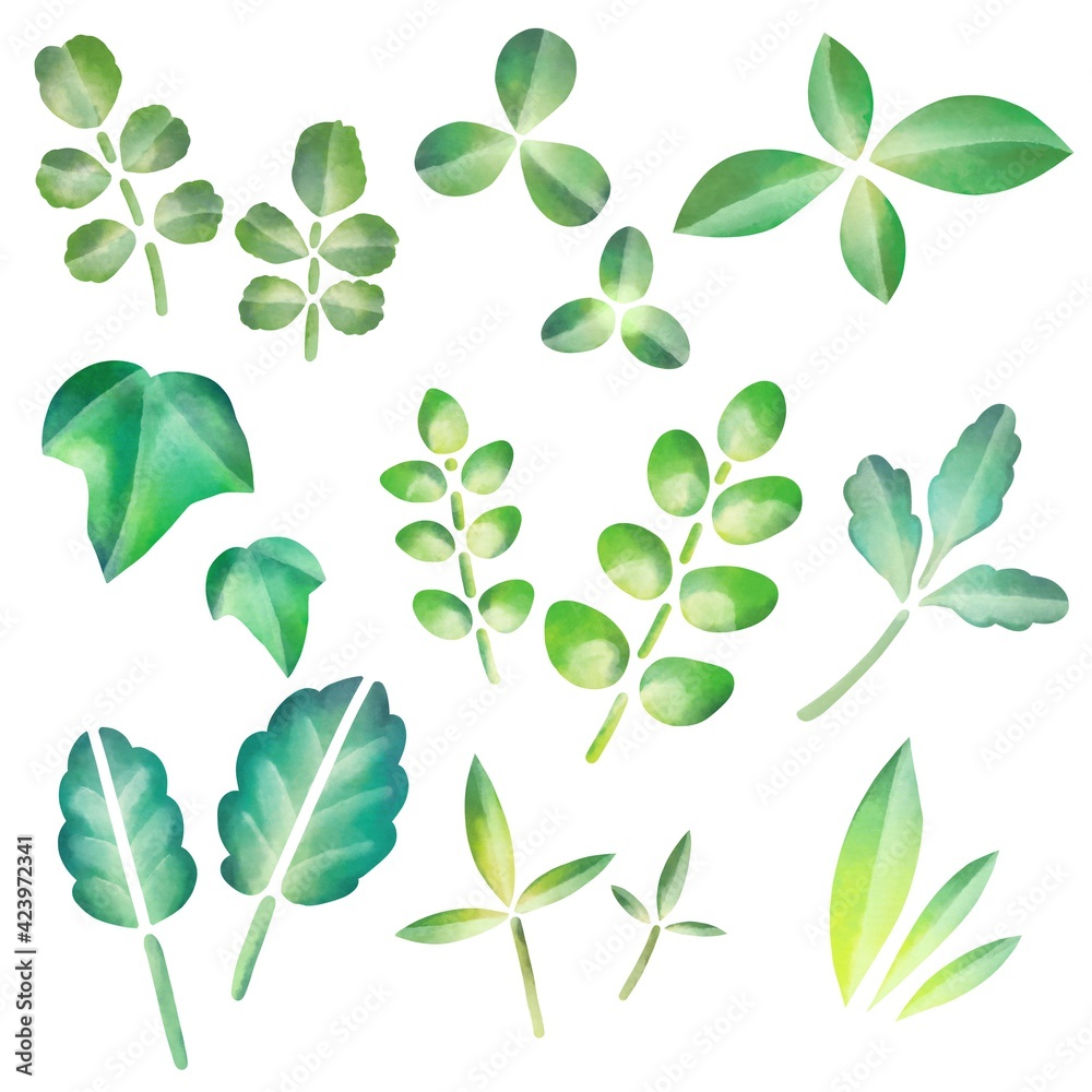 水彩風の鮮やかな緑の葉っぱセット　ラスター素材
