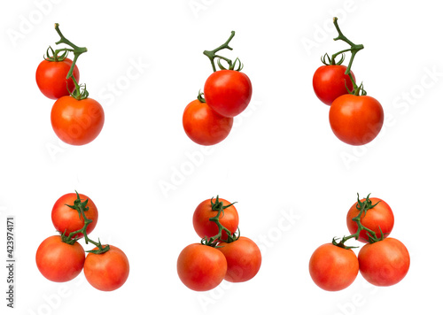 collection of tomatoes on the vine isolated on white background	