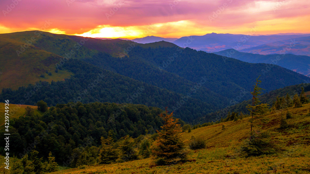 wonderful summer sunset view, natural sundown scenery, majestic evening landscape, beautiful nature background in the mountains, Carpathians, Ukraine, Europe