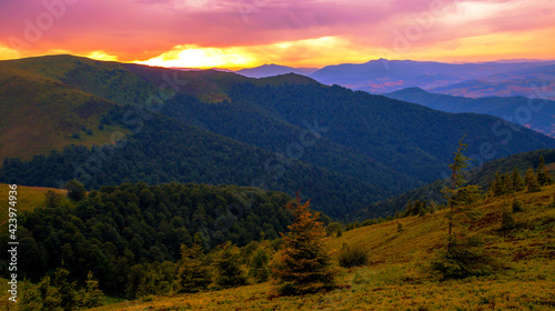 wonderful summer sunset view, natural sundown scenery, majestic evening landscape, beautiful nature background in the mountains, Carpathians, Ukraine, Europe © Rushvol