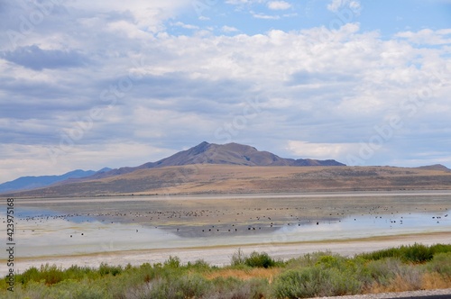 Antelope Island Utah