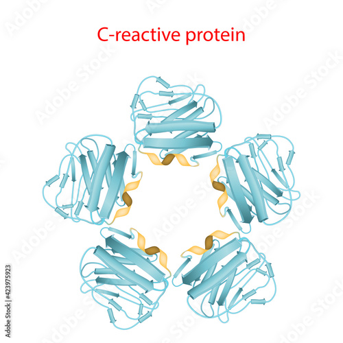 C-reactive protein Molecular structure.