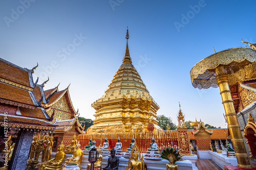 Wat Phra That Doi Suthep with clear blue sky and evening sunlight  the most famous temple in Chiang Mai  Thailand
