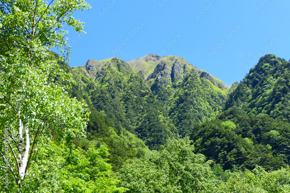 中部山岳国立公園、初夏の上高地より六百山を望む。松本、長野、日本。６月下旬。
