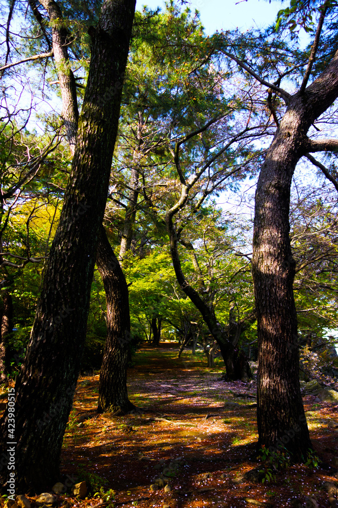 久留米城跡の日本庭園