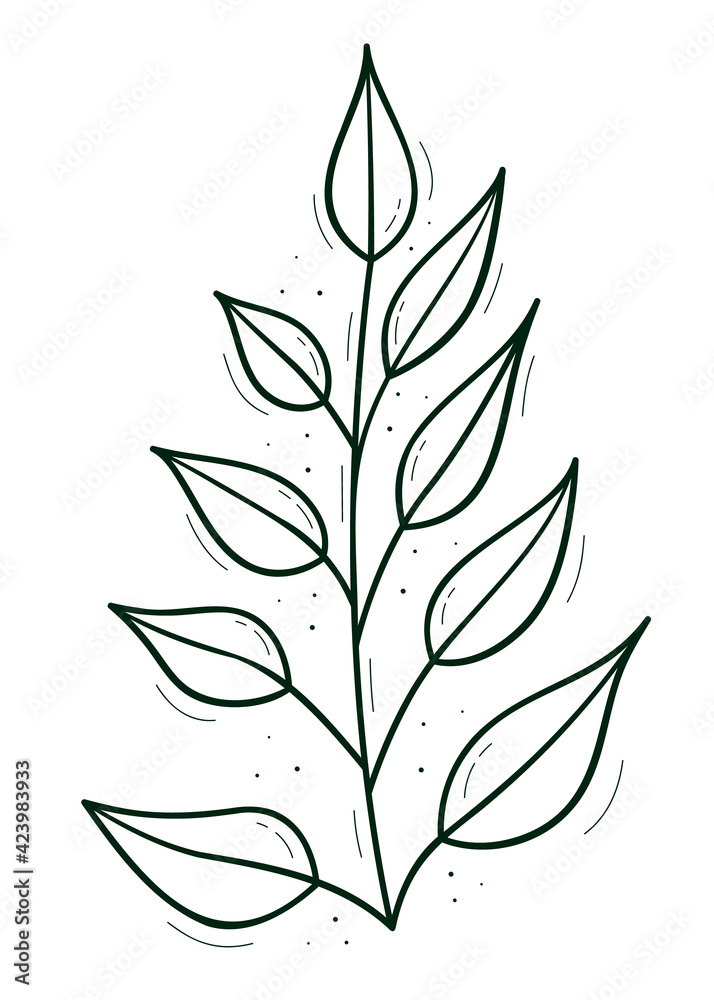 A branch with sparse leaves.Contour doodle sketch dark green white. Isolated vector drawing on a white. A branch with sparse leaves.Contour doodle sketch dark green white. Isolated vector drawing on a white.