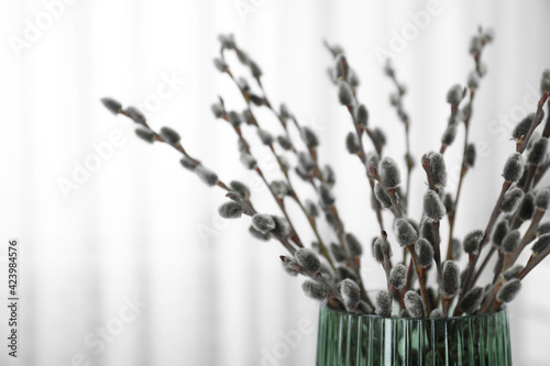 Beautiful bouquet of pussy willow branches in vase on light background, closeup