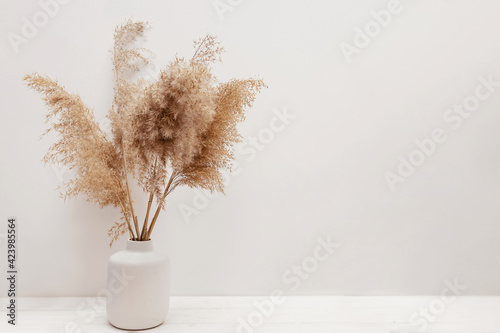 Pampas grass in a vase near white wall. photo