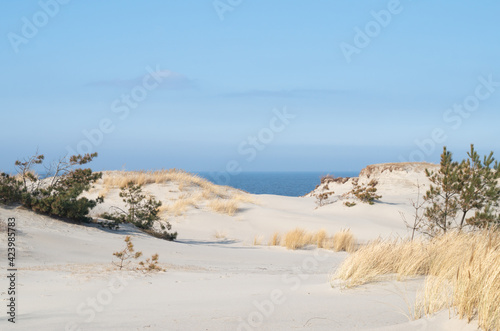 Sand dunes on the beach. Desert landscape.