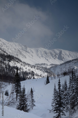 Fototapeta Naklejka Na Ścianę i Meble -  snow covered mountains in winter