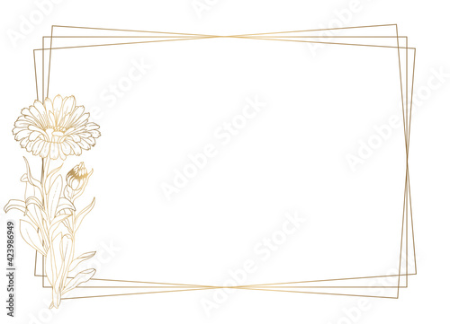 Plants line gold. Luxurious golden nature. White background. Flowers in a thin line. Light pastel colors. Vector abstract background.