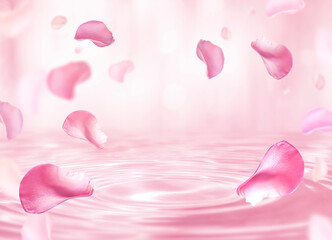 roses petal background