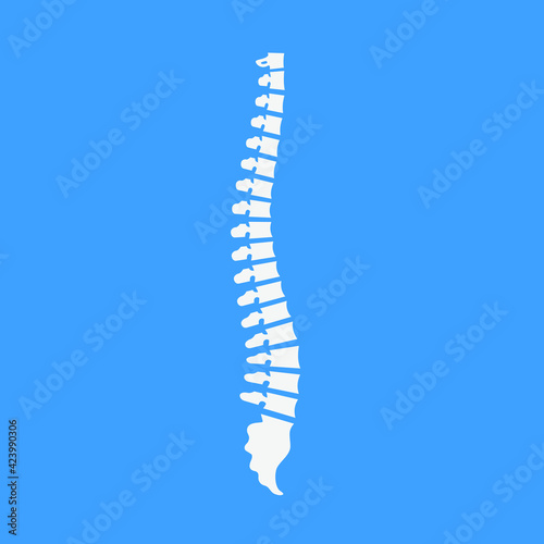 Side view of the spine on blue background. Vector illustration