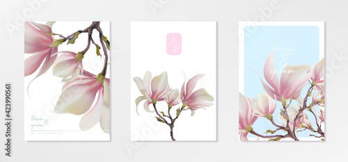 Magnolia flower, vector pink blossom. Sakura floral design. 3d minimal illustration, rose bloom.