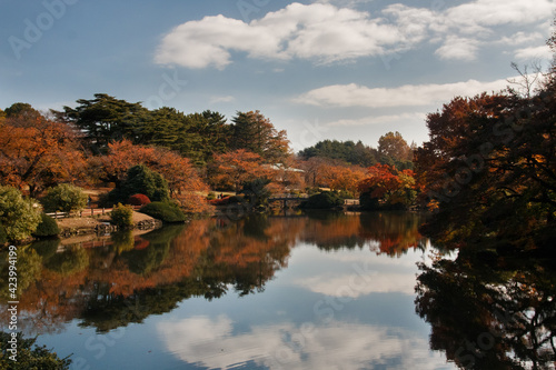 Fototapeta Naklejka Na Ścianę i Meble -  Shinjuku's Park in Japan a place full of nature and colors