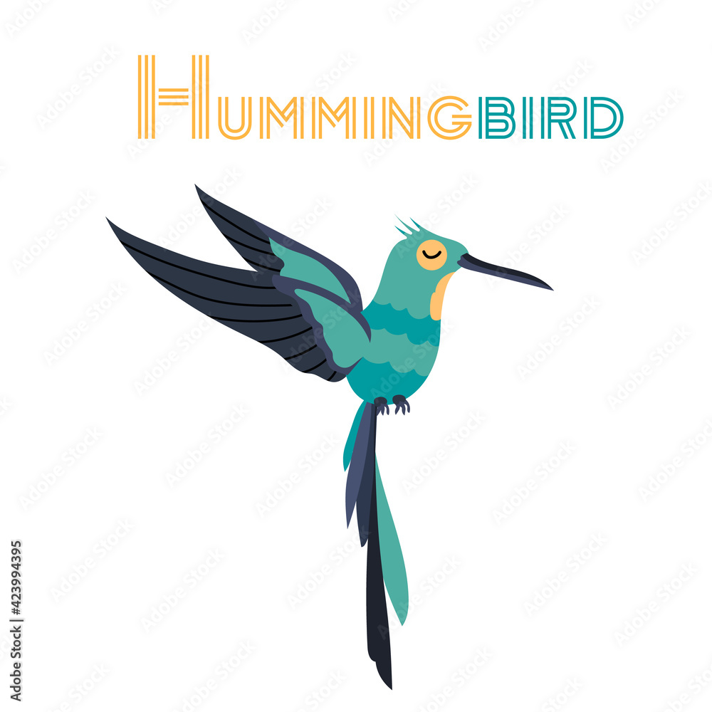 Fototapeta premium Humming bird on white background. Flat colibri vector isolated. Wild animal vector illustration.