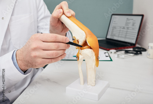 Traumatologist pointing pen to meniscus in a knee-joint anatomical teaching model, close-up. Human torn meniscus treatment concept photo
