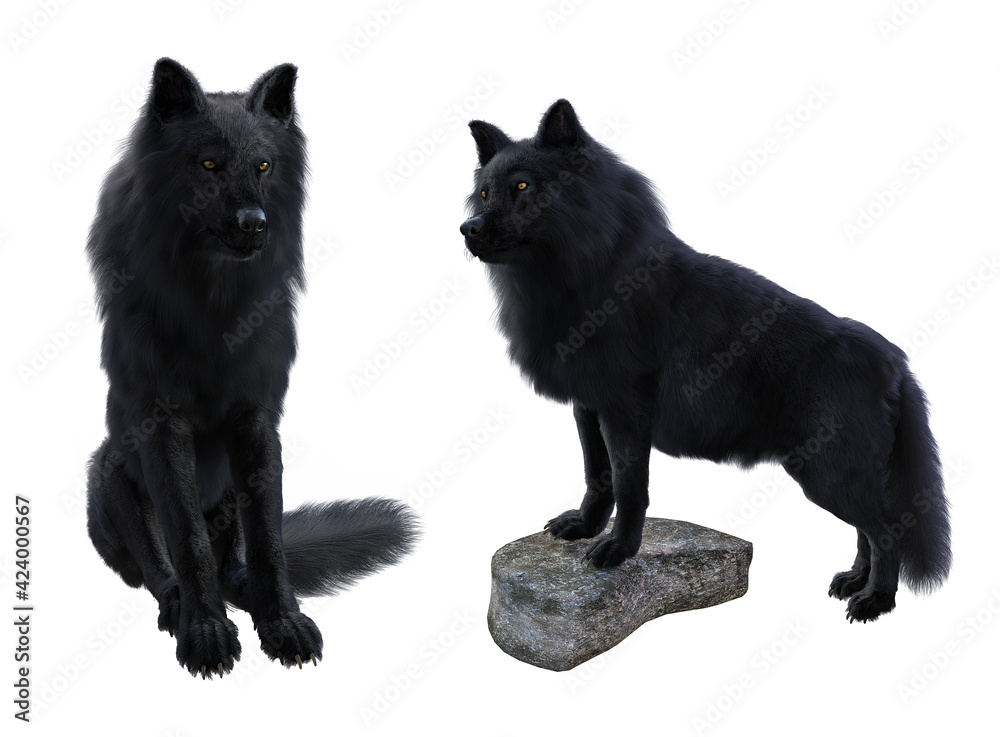 Black wolves 2 pose render with white background	