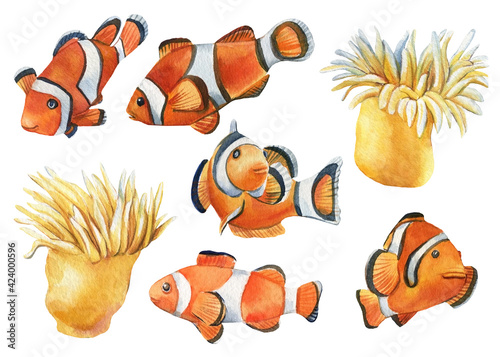 Canvas Print Marine life