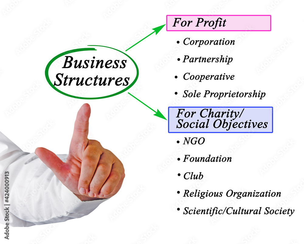 Profit and Non-profit Business Structures. Profit and Non-profit Business Structures.