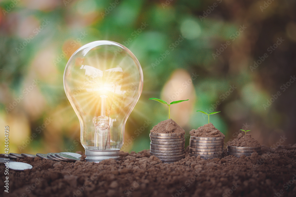 Light bulb and energy saving with soil on top and tree growing on coins ...