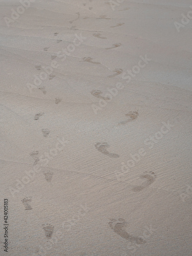 The footprints of the children and their mothers are on the sand beach.