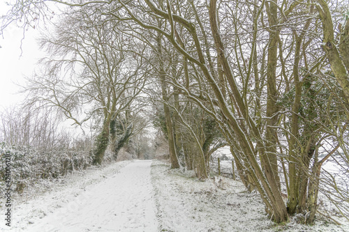 path in winter