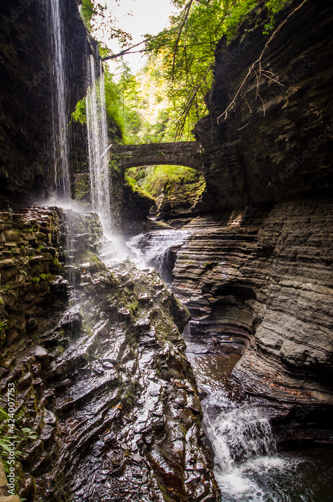 waterfall in the forest Watkins Glen NY waterfall in the forest Watkins Glen NY