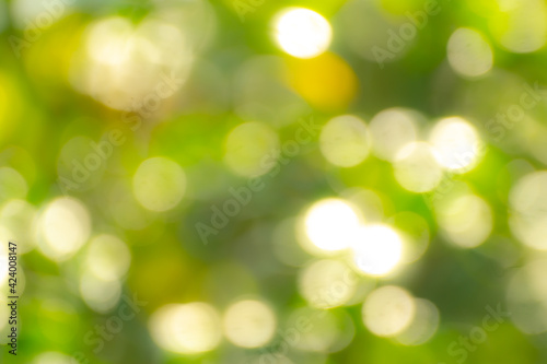Nature background images abstract blur and bokeh for design.
