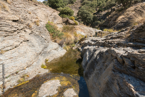 Water flowing down a ravine in Sierra Nevada