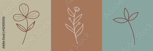 Set of Hand Drawn Organic grass Leaves and flowers, Art floral elements, Botanical illustration, Decorative Leaf picture, Vector Illustration for graphic design, t-shirt prints, logos, cosmetics
