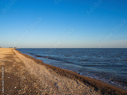 Sandy beach with shells near the gentle sea and blue sky.