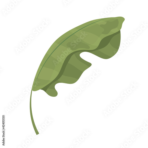 green leaf palm