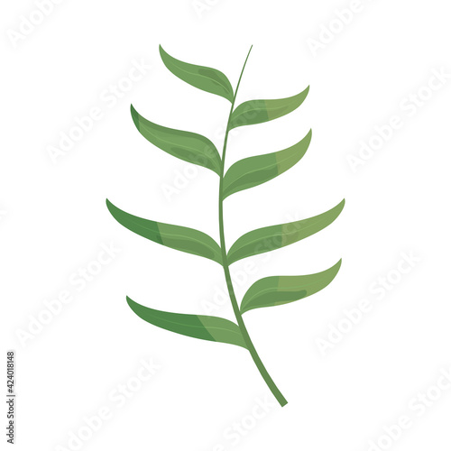 branch foliage greenery