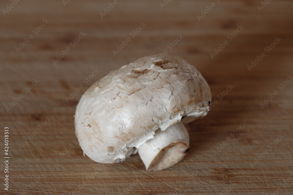 Fototapeta premium Ein einzelner Weißer Champignons (Zuchtchampignon - Lat.: Agaricus bisporus)