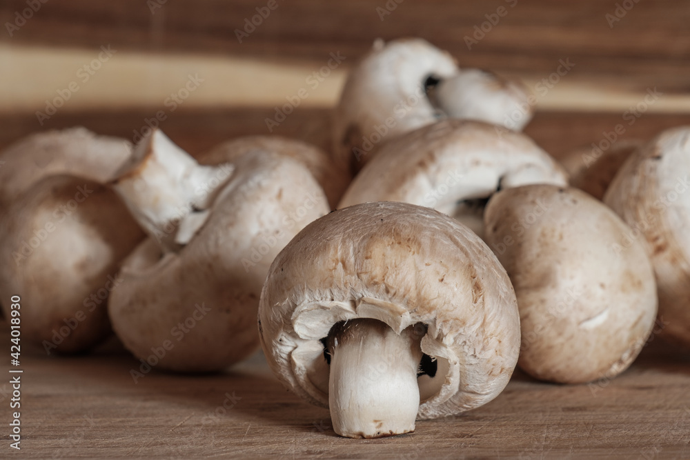 Mehrere Weiße Champignons / Pilze auf einem hölzernen Hintergrund (Zuchtchampignon - Lat.: Agaricus bisporus)