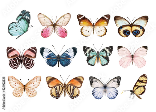Watercolor colorful butterflies, isolated on white background. blue, yellow, pink and red butterfly spring illustration