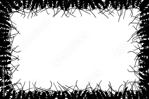 Earwig frame illustration isolated on white