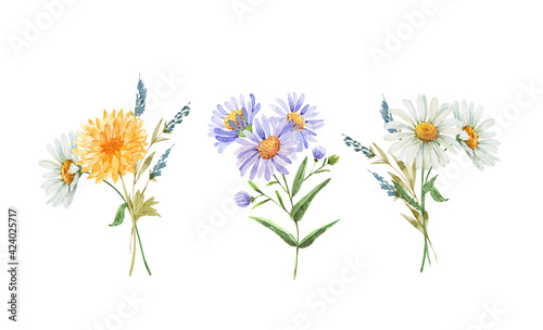 set with delicate bouquets of garden flowers illustration watercolor, hand painted on white background