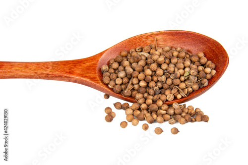 Dried cilantro spices in wooden spoon isolated on the white background