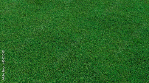Green grass texture background. A perfectly manicured Sports field / Pitch / Garden Lawn wallpaper.   photo