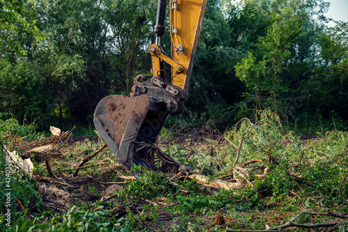 Yellow chain excavators clearing vegetation