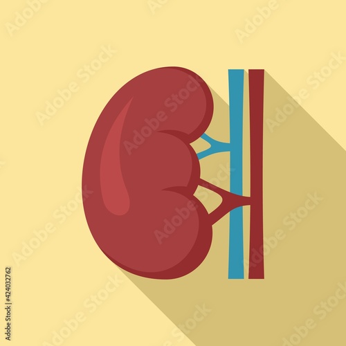 Renal kidney icon, flat style