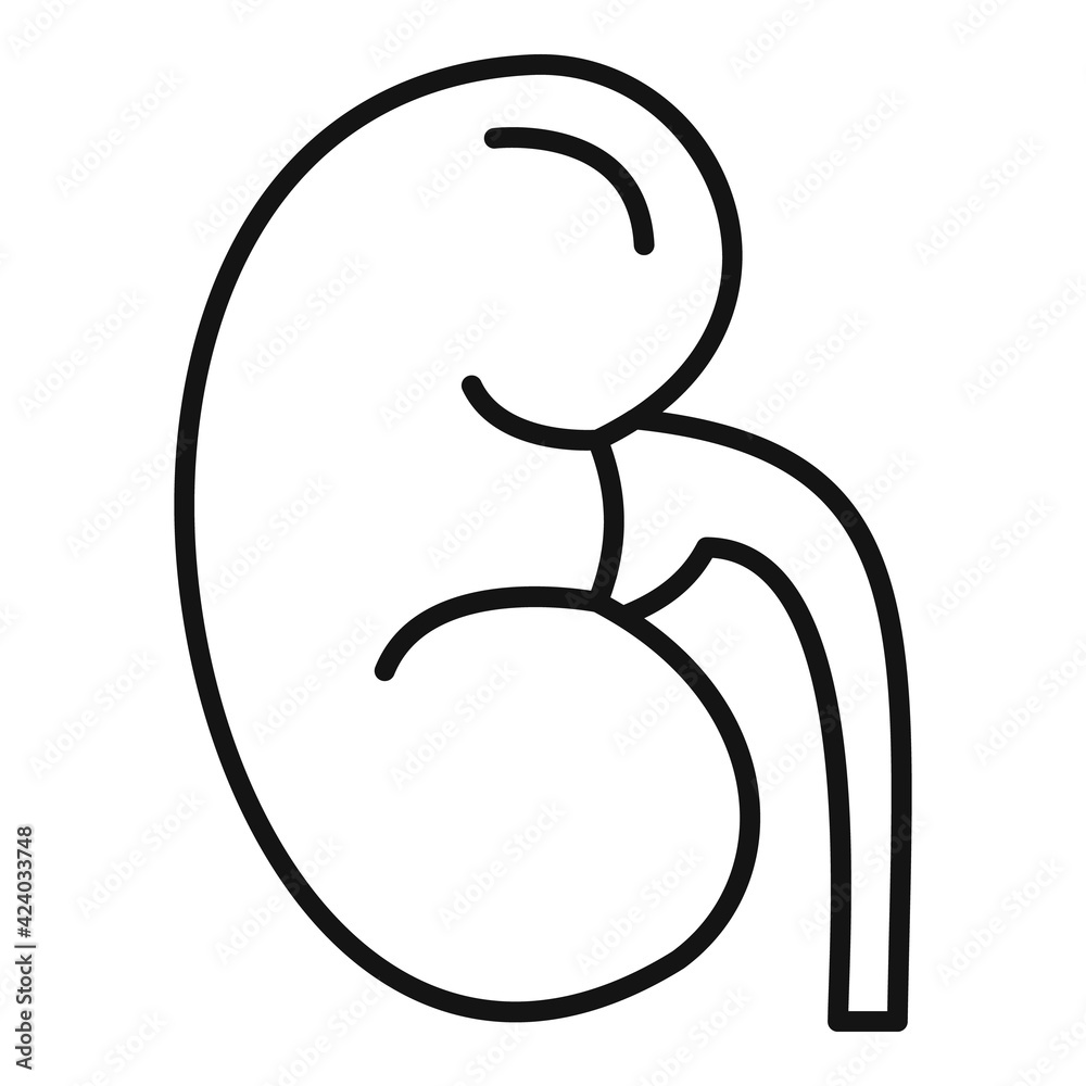 Pain kidney icon, outline style