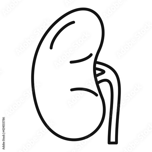Healthy kidney icon, outline style