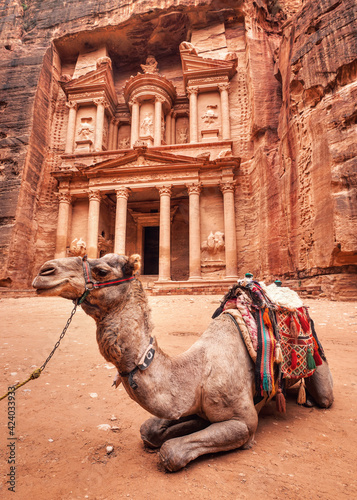 Camel resting in front of main temple (Al-Khazneh - Treasury) at Petra, Jordan. Animals are used to ride tourists