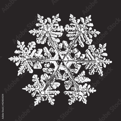 White snowflake isolated on black background. Vector illustration based on macro photo of real snow crystal: large stellar dendrite with hexagonal symmetry, complex ornate shape and six elegant arms.