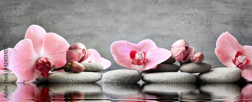 Fotografia Set of pink orchid and gray spa stones on water and reflection.