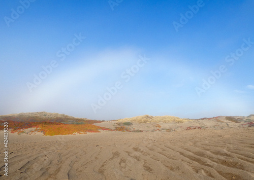 soft rainbow over beach dunes